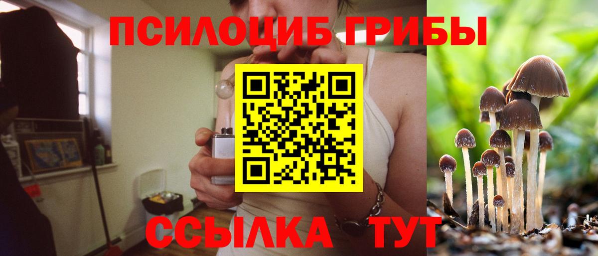 Шадринск  Галлюциногенные грибы прущие грибы  Вход с VPN 